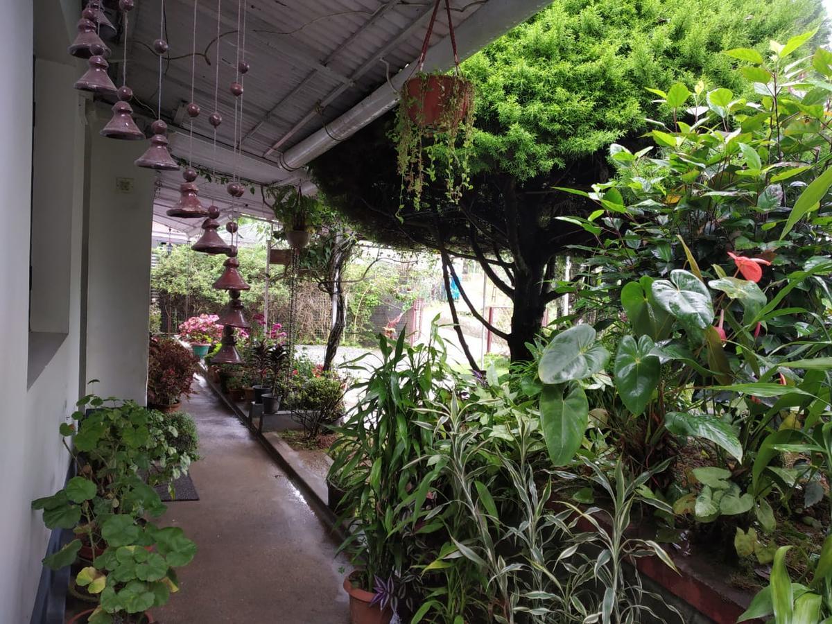 蒙纳 莱茵城之家旅馆酒店 外观 照片